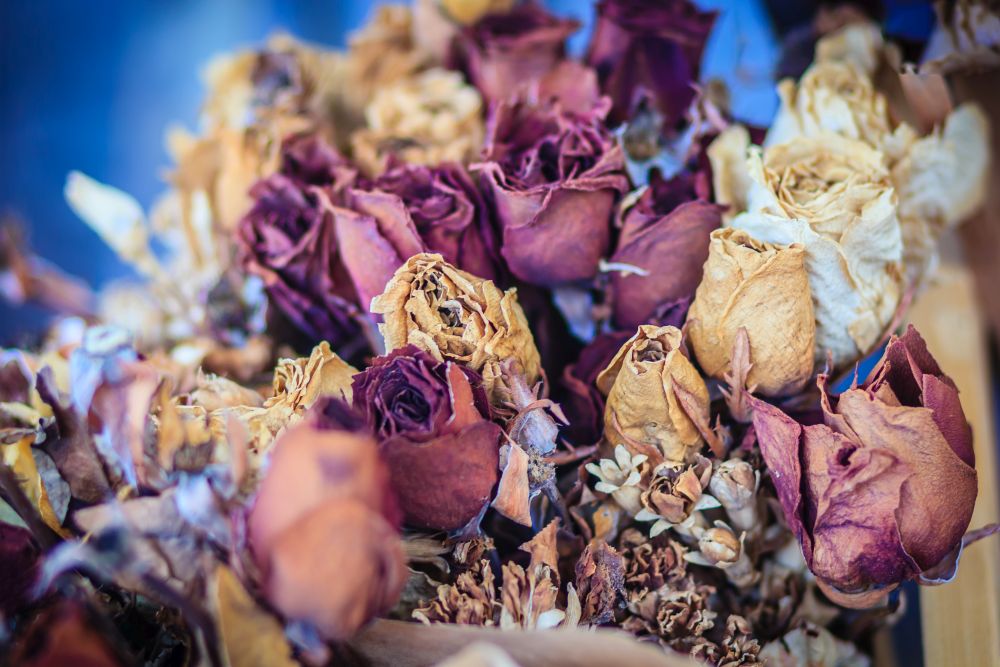 02 HOCHZEIT.de Ratgeber Nach der Hochzeit Brautstrauss trocknen konservieren iStock 904650234 2018 01 1