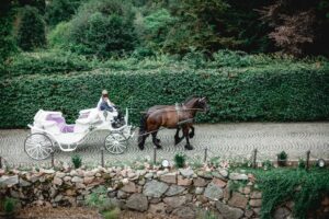 16 03 Relais Chateaux Hotels 2020 Schlosshotel Burg Schlitz Hohen Demzin Pferdekutsche