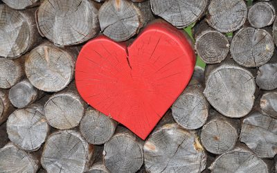 kola weddingz – Finest Weddings and Events