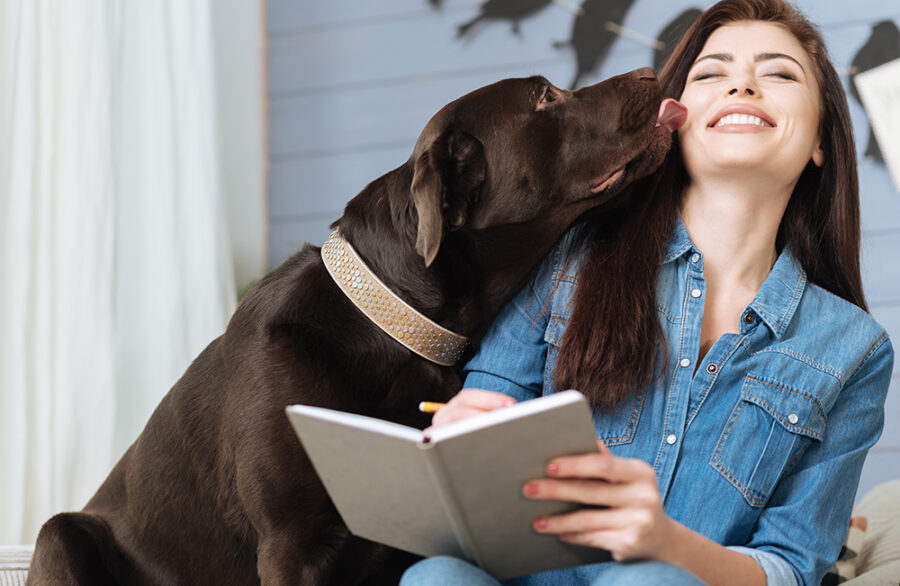Puppy love. Happy caring emotional woman laughing at her cute dog which licking her cheek while she holding a notebook and a pencil