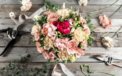 Meyer’s Blumenzeit