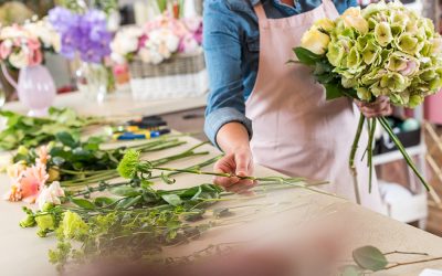 maltepuls – Garten – Landschaft-Blume