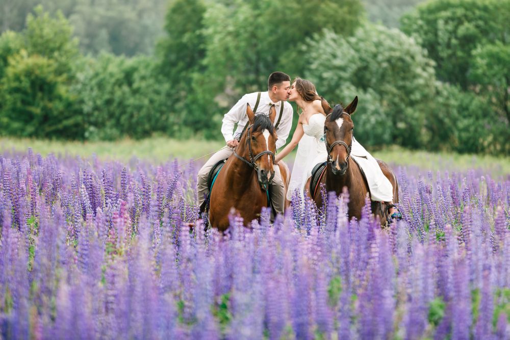 307 HOCHZEITde Ratgeber Am Hochzeitstag ausgefallene Hochzeitsfotos Ideen iStock 545586272 2018 06
