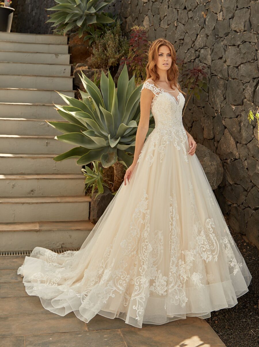 135 Euro Mode Donner Brautmoden Brautkleider Kollektion 2019 Diane Legrand I 7534 6