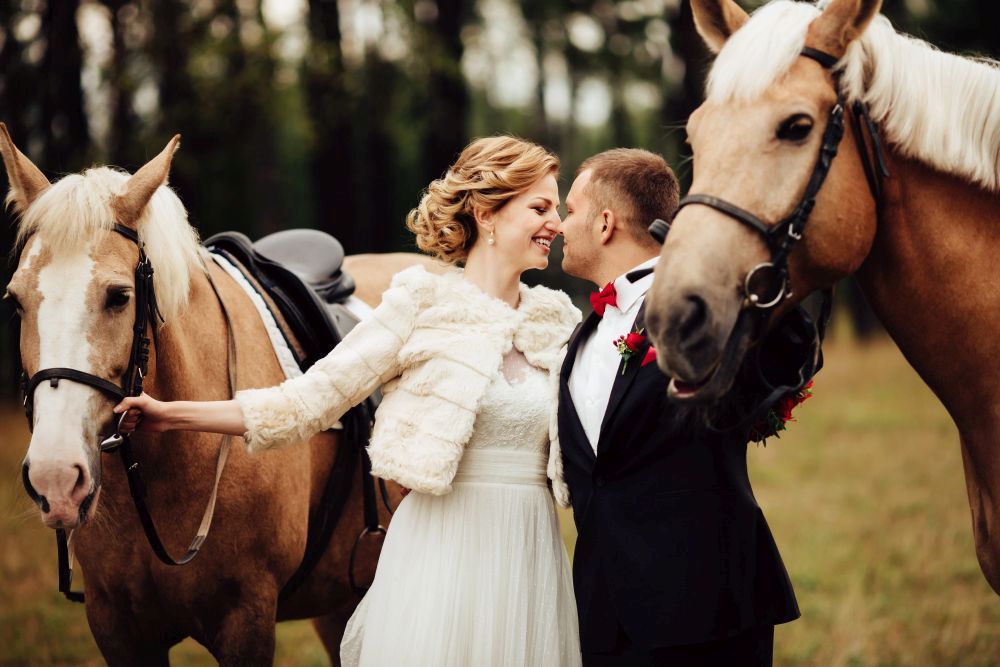 Braut und Bräutigam stehen eng beieinander mit zwei Pferden im Freien. Die Braut trägt ein weißes Kleid und eine Jacke, während der Bräutigam einen Anzug trägt. Sie wirken glücklich und die Pferde sind hellbraun mit weißen Mähnen.