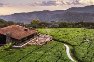 602 One and Only Honeymoon Flitterwochen 2019 Ruanda 46651179OO NyungweHouse Drone Clubhouse