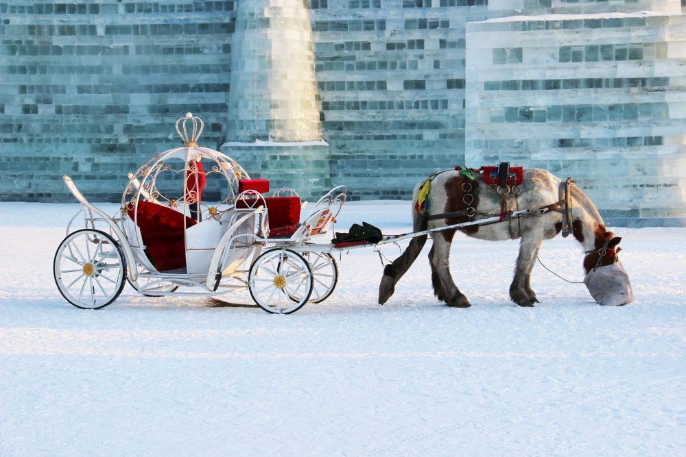 Eine Pferdekutsche auf Schnee zeigt ein Pferd, das eine weiße, verzierte Kutsche mit roten Kissen zieht. Die Szene spielt vor einem Hintergrund aus großen Eisskulpturen oder -strukturen.