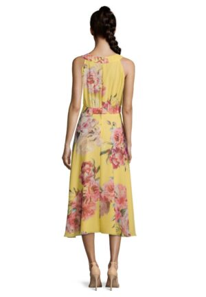 04 23 Vera Mont Abendmode Abendkleider Kollektion FS 2020 40634056 2844 R