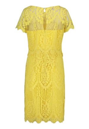 04 34 Vera Mont Abendmode Abendkleider Kollektion FS 2020 40874670 2042 FR