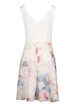 04 56 Vera Mont Abendmode Abendkleider Kollektion FS 2020 41284716 4814 FR