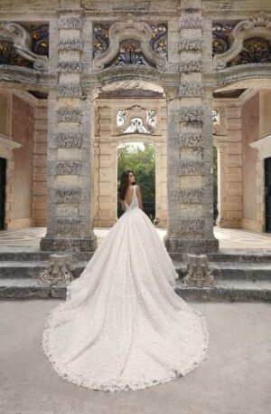 320 Demetrios Brautmoden Brautkleid Kollektion 2020 Platinum by Demetrios DP420 2962